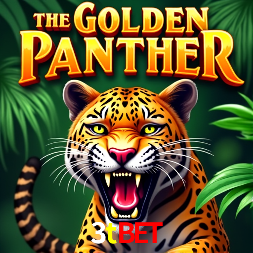 A Experiência Imersiva dos Cassinos Ao Vivo no 3tbet